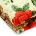 Solaron ASO double part full body embossed blanket > family size blanket. 