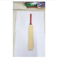white cricket bat.