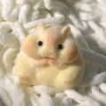 MoupBoi Taba Squishy Toy Mochi Toy Mushy Silicone Fuzzy Cute Hamster Handmade Squishy Toy Tabby Hamster Stress Release Hand Relax Gifts. 