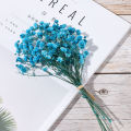 Small Natural Dried Flowers Bouquet Natural Dried Bouquets Fresh Dried Preserved Flowers Dry Flowers Press Home Wedding Decor. 