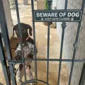 Keep Gate Closed Sign Beware of Dog Sign. 