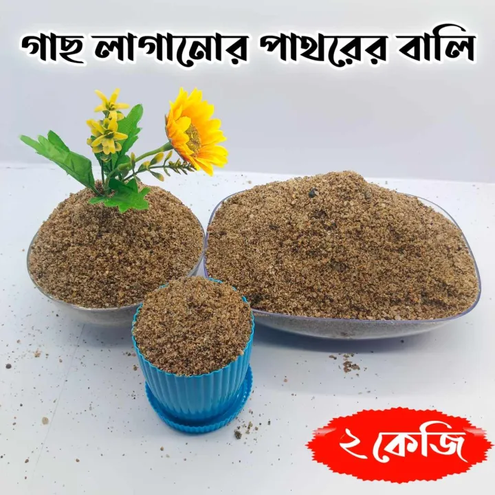 Rock%20Sand%20For%20Plant%20Root%20Growth%20/%20Stone%20Sand%20For%20Plant%20/%20Gardening%202%20kg%20-%20Image%202