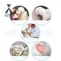 Elizabethan E-Collar Cat Cone  Size-6 - Cat Belt - Cat Belt. 