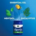 Vicks Vaporub Ointment Colds Relief 100g | India.