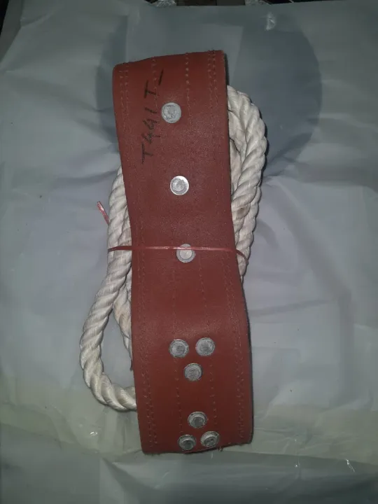 safety%20belt/%20Construction%20Workers%20Safety%20Belt%20I%20Udyogi%20/Seat%20Belts%20Tree%20Climbing%20Equipment%20Tree%20Pruning%20Installation%20Stairs%20Climbing%20Safety%20Devices%20-%20Image%202