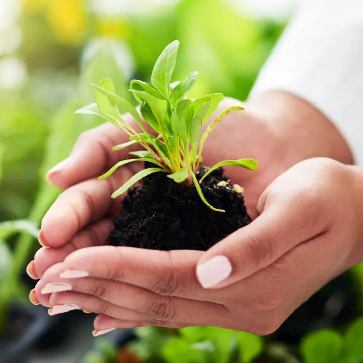 Premium%20High%20Quality%20Organic%20fertilizers%20for%20Plants%202%20KG%20fertilizer%20Bumper%20Folon%20joibo%20sar%20-%20Image%204
