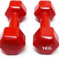 1kg vinyl dumbbell - 1 Pair / 2 pcs. 