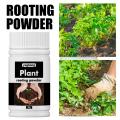 1 Bottle Useful Flower Fertilizer Compact Rooting Powder No Odor Reliable Strong Power Precisely Flower Fertilizer. 