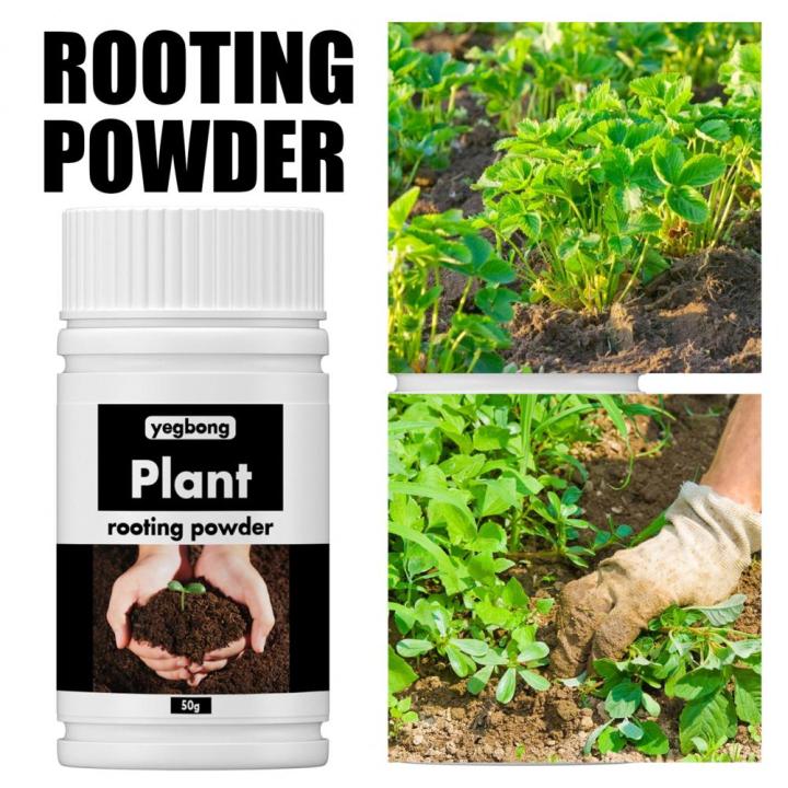 1%20Bottle%20Useful%20Flower%20Fertilizer%20Compact%20Rooting%20Powder%20No%20Odor%20Reliable%20Strong%20Power%20Precisely%20Flower%20Fertilizer%20-%20Image%204