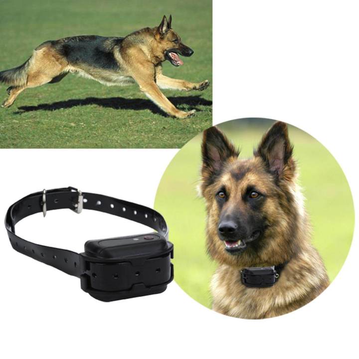 Dog Electric Training Collar Remote Ecollar With Beep/Vibration/Shock