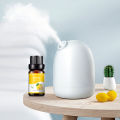 Universal Essential Oils for Aroma Diffuser Air Humidifier Home Water-soluble 10ml Air Freshener Scents Fragrance Oil Perfume. 