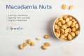 Nuttish Land Dry Roasted Salted Macadamia Nuts -2000 gms 2kg. 