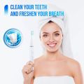 Electric Toothbrush Six-in-one Electric Toothbrush Set Portable To Remove Tartar Scaling Teeth Beauty Device.