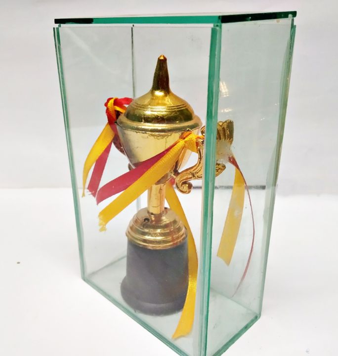 Glass%20And%20Plastic%20Cricket%20Mini%20Trophy%20-%20Celebrate%20Achievements%20With%20This%20Mini%20Cricket%20Trophy%20-%20Image%202