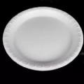 20 pcs Disposable Plastic Plate 9.5 inch One Time Use Plat Ideal for Outdoor birthday party Wedding anniversary.