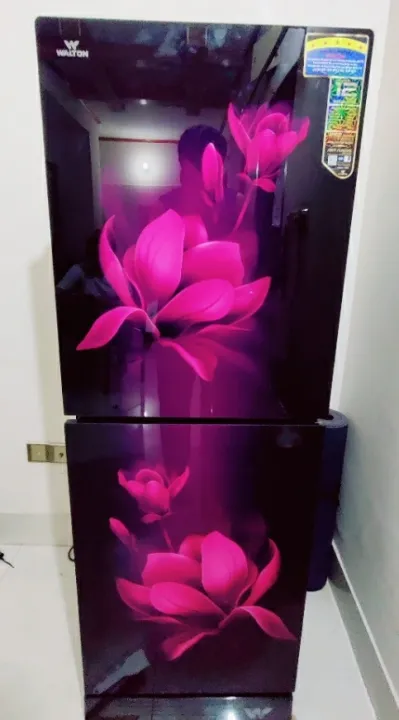 Walton%20WFD-1F3-GDEL-XX%20Frost%20Refrigerator%20-%20176%20Ltr%20-%20Image%202