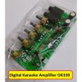 BANGLADESHI PT2399 OK339 Amplifier Circuit OK339 Digital Karaoke Amplifier DC 12-15V 3A Dual Power Low Noise Filter Circuit Module HiFi Audio Module. 