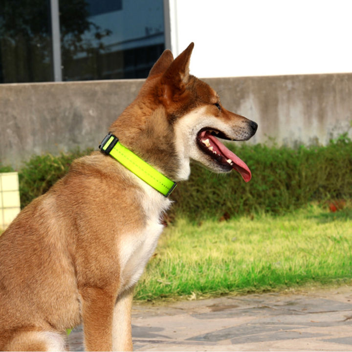 KOOWIN%20Dog%20Collar%20Glowing%20Pet%20Collar%20Adjustable%20Safety%20Pet%20Collars%20Waterproof%20with%203%20Light%20Modes%20-%20Image%203