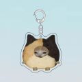 Apple Cat Memes Keychain Banana Cat Popular Schoolbag Mobile Phone Pendant Acrylic Fun Gift For Students Keyring Accessories.