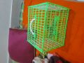 Bird Carrying Cage For Bird (Plastic).