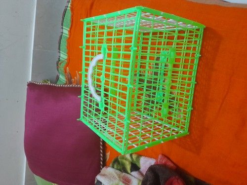 Bird%20Carrying%20Cage%20For%20Bird%20(Plastic)%20-%20Image%205