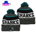 2021 Embroidery logo Ice Hockey Team Beanie winter Knitted Hats Women Men Winter Cap Warm Knit.
