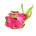 Dragon Fruits Seeds 30 pice + gift. 