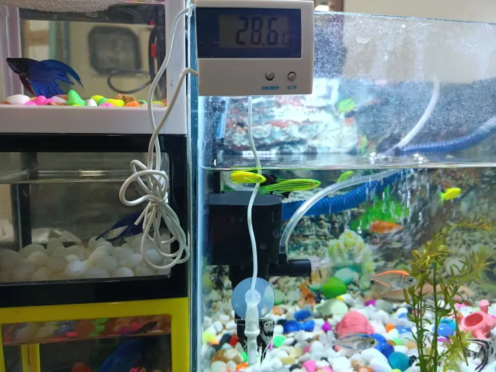 Digital%20Thermometer%20For%20Aquarium%20Fish%20Tank,%20Biofloc%20&%20Oter%20Fish%20Farming%20-%20Image%202