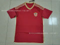 Venezuela Jersey 2425 ome and Away Football Fans Edition Football Suit Venezuela Jersey. 
