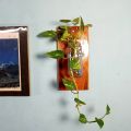 Wall flower Vase of natural wood and glass for office and living room. (without plant).