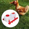 Poultry Drinking Bowl Feeder Chick Chicken Waterer Cups for Coop Birds Geese semi automatic L. 