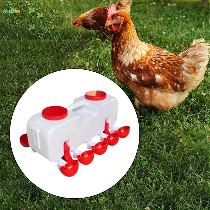Poultry%20Drinking%20Bowl%20Feeder%20Chick%20Chicken%20Waterer%20Cups%20for%20Coop%20Birds%20Geese%20semi%20automatic%20L%20-%20Image%205