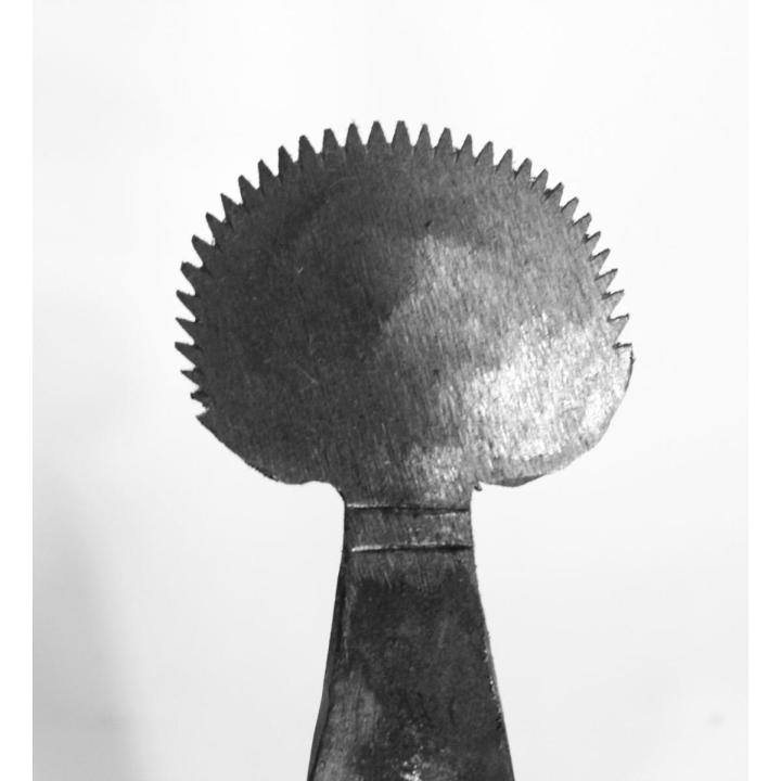 Kokraklarini tortib oldi