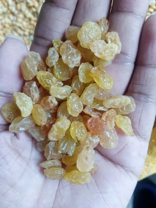 Kismis/%20Raisins%20Seed%20Less%201Kg%20(Premium)%20-%20Image%203