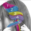 Women Curling Disk Centipede Styling Braid Clip Hair Accessory DIY Hairstyle Styling Women Twist Hair Clips Braiding Tools Fashion Twist Plait Hair Braid Magic Hair Twist. 