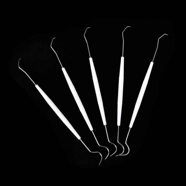10X Disposable Double Hook Tooth Dental Explorer Dentalist Probe Dentist Tool