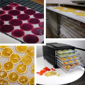 Non-Stick Silicone Dehydrator Sheets,Fruit Dehydrator Mats Reusable Steamer Mat Mesh Sheet for Fruit Dryer 32 Pcs. 
