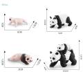 panda Model 4 Stages of Panda Playset Science Educational Toys Animal Growth Cycle Models. 
