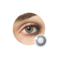 Freshlook Grey contact lens.