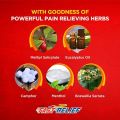 Fast Relief Herbal Pain Relief Ointment (India) - 100ml. 