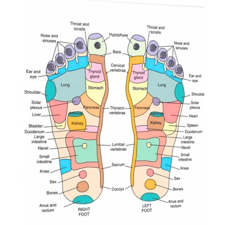 Wood%20Therapy%20Massage%20Tools%202%20Pcs%20Combo%20-%20Image%204