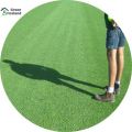 Rare Sports Field Grass Seeds  - 200+ Pcs Seeds. 