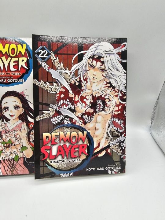 Demon%20Slayer:%20Kimetsu%20no%20Yaiba,%20Vol.%2022%20-%20Image%202