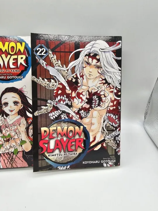 Demon%20Slayer:%20Kimetsu%20no%20Yaiba,%20Vol.%2022%20-%20Image%202