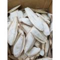 Cuttlefish Bone For Birds 100 gram. 