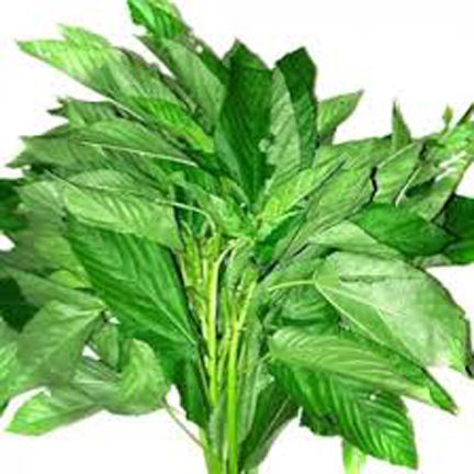 Sweet Jute Spinach Seeds - 50 Pieces ( মিষ্টি পাট শাক বীজ 50 )