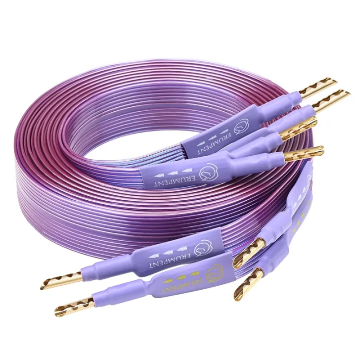 HiFi%20OCC%20Speaker%20Cable%20Hi-end%20Pure%20Copper%20Flat%20Belt%20with%20Serrated%20Solid%20Gold-plated%20Banana%20Y%20Plugs%20Cable%20for%20Speaker%20Amplifier%20-%20Image%207