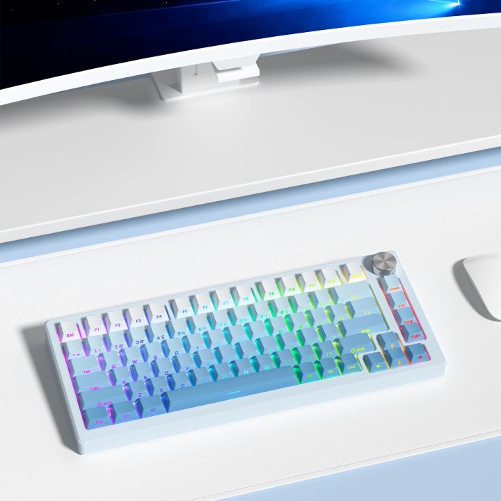 Gradient%20Blue%20Side%20Printed%20Keycaps%20Cherry%20Profile%20Double%20Shot%20PBT%20Keycaps%20136%20Keys%20for%20Cherry%20Gateron%20MX%20Switches%20Gamer%20Keyboard%20-%20Image%204
