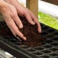 Coco peat Media For Seedling 1kg,Growing Media. 