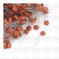 Ceramic Capacitor 104 50V 100nF-50Pcs. 